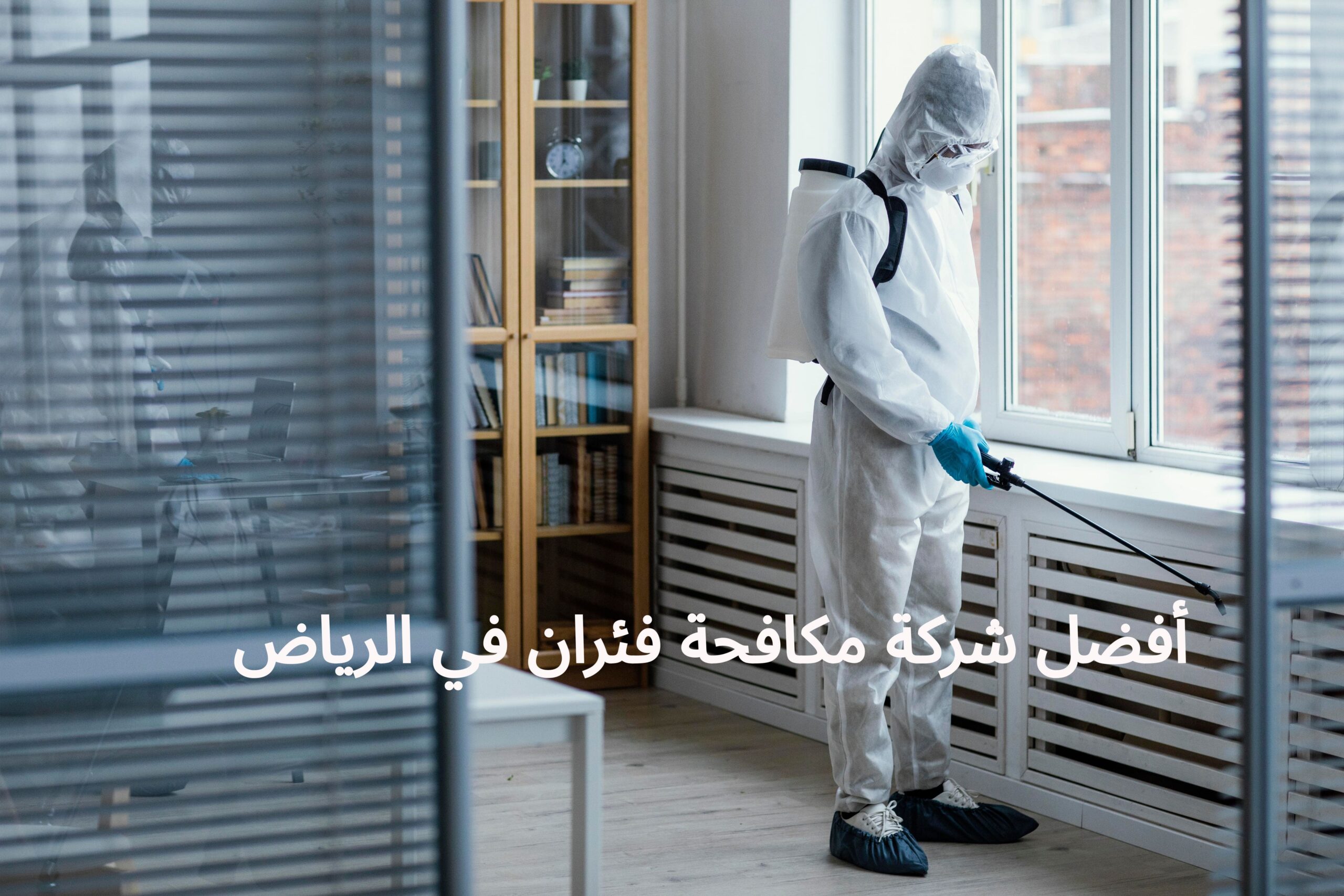 أفضل شركة مكافحة فئران في الرياض