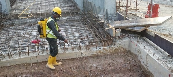 شركة مكافحة النمل
