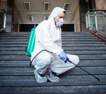 افضل شركة مكافحة النمل الابيض