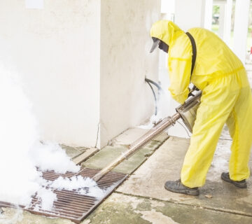 افضل مبيد قبل صبة النظافة